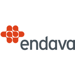 header Endava image